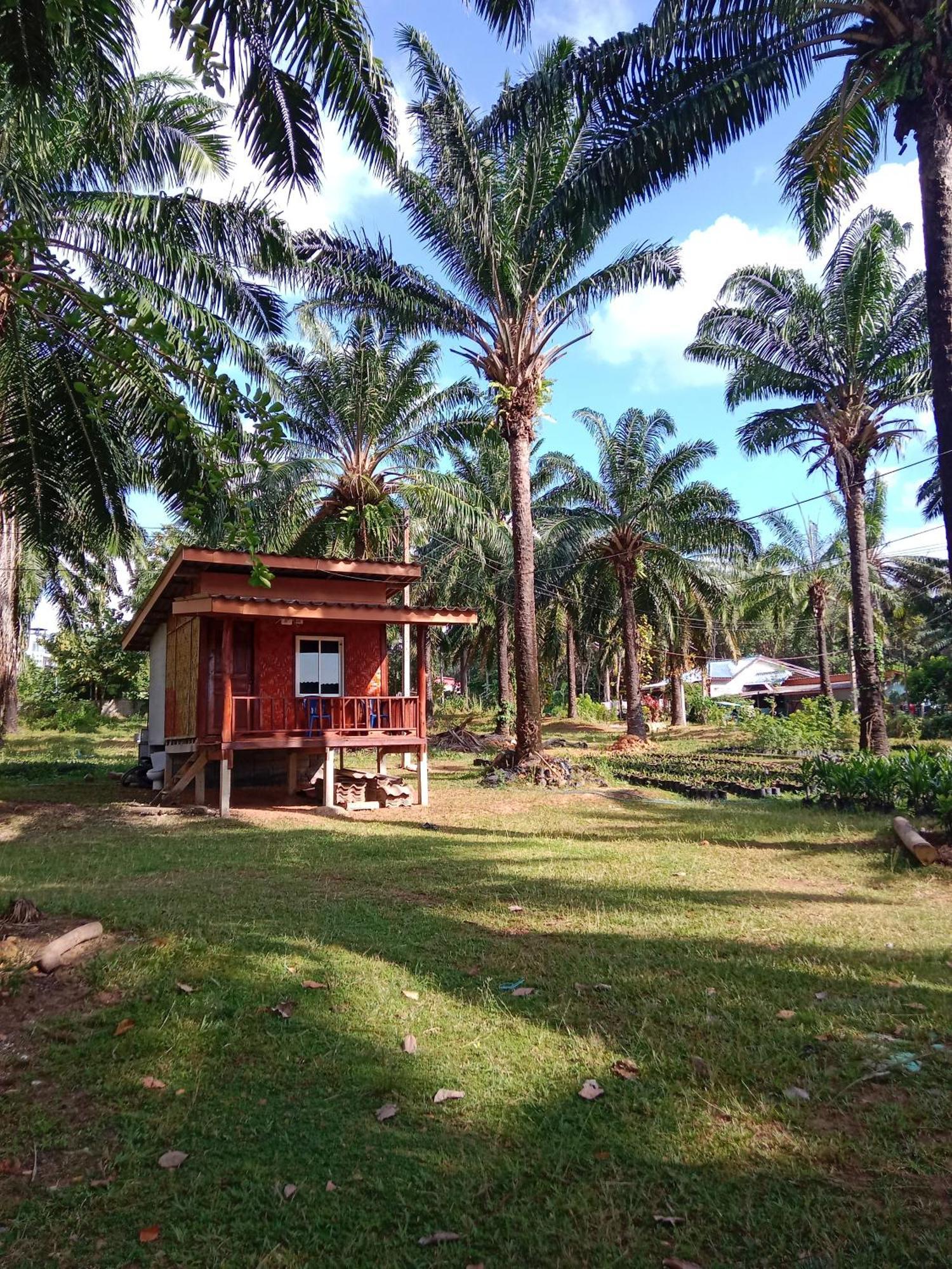 Som Palmgarden Hotel เกาะลันตา ภายนอก รูปภาพ